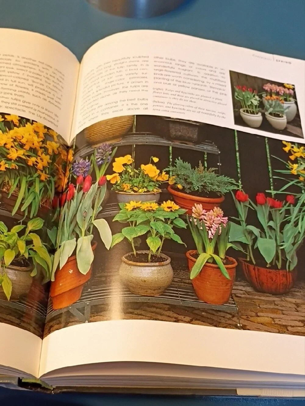 The Complete Book of Bulbs — Black Cover